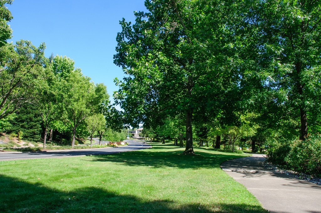 E Roseville ParkwayGB (9) Placer Living